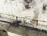 Сожгли нашу коляску