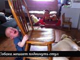 Почему плачут дети