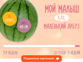 Завтра примерно в 11:00 ПКС?