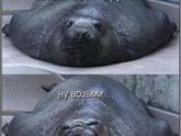 Когда беременна