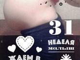 31 нед.