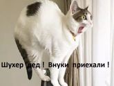 Доброе утречко!