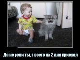 немножко позитива