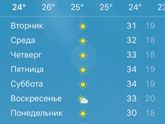 Жарень