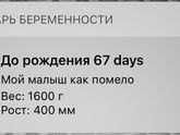 До рождения 67 дней...