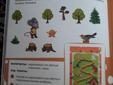 12 занятий. Занимаемся сами