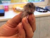 Ой я не могу!?