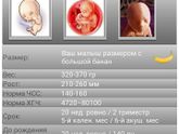Наши новости?