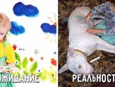 Ожидания и реальность