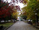 Осень🍂