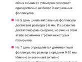 Какой величины должны достичь