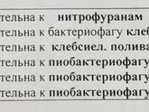 Клибсиелла пневмония