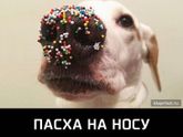 Когда пропадает ощущение отпуска...