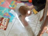 Генеральная уборка