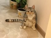 Котя моя ❗️