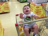 Вчера начали ходить по