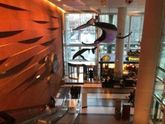 Ура, подрезали уздечку! Как выглядит детский госпиталь в США