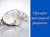 Принцип жемчужной раковины