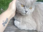 Хочется мнение услышать ...спорим