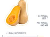 Наши 33 недели