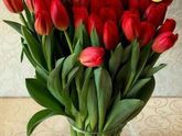 С наступающим 8 Марта !