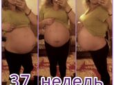37 недель💜 мои фотопузики🎬😉