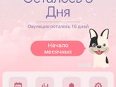 День Х 16.11