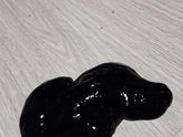 Лизун