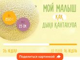 Как быстро мы растём)