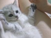 Замучали мальчика💓💓💓