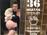 36 недель..УЗИ