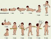 Речь ребенка в 1-3 года!