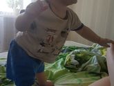 Новогодние новости?