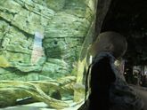 Автопутешествие к морю. Часть 3. Воронеж. Океанариум