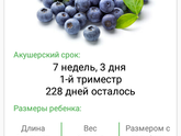 Моя 7 неделя