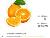 14 недель???