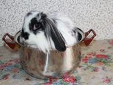 Наш зоопарк))