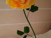 Цветы из гофрированной бумаги🌸🌼💐