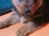 Завтра с мужем годовщина и вот сегодня подарок подарил!)))Но как помочь этому подарку?)