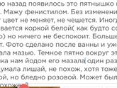Что за пятнышко?