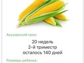 Экватор ???