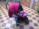 Нуна пепп люкс