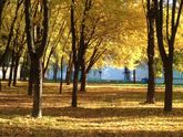 Красочная осень