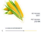 Мой малыш 🌽🍼👶🏼