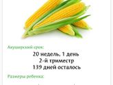 Классное приложение,советую!!!!!