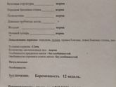 Ничего не обьяснили)))))