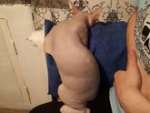 Для настроения💕😳