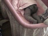 Скачкообразна эволюция