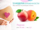 13 недель 3 дня (ктр 7.9)