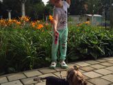 Уживётся ли йорк с чихуахуа? Хочу завести вторую микро-собачку!